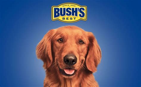 did the bush bean guy die|The dog who played Duke in Bushs Baked Beans commercials。